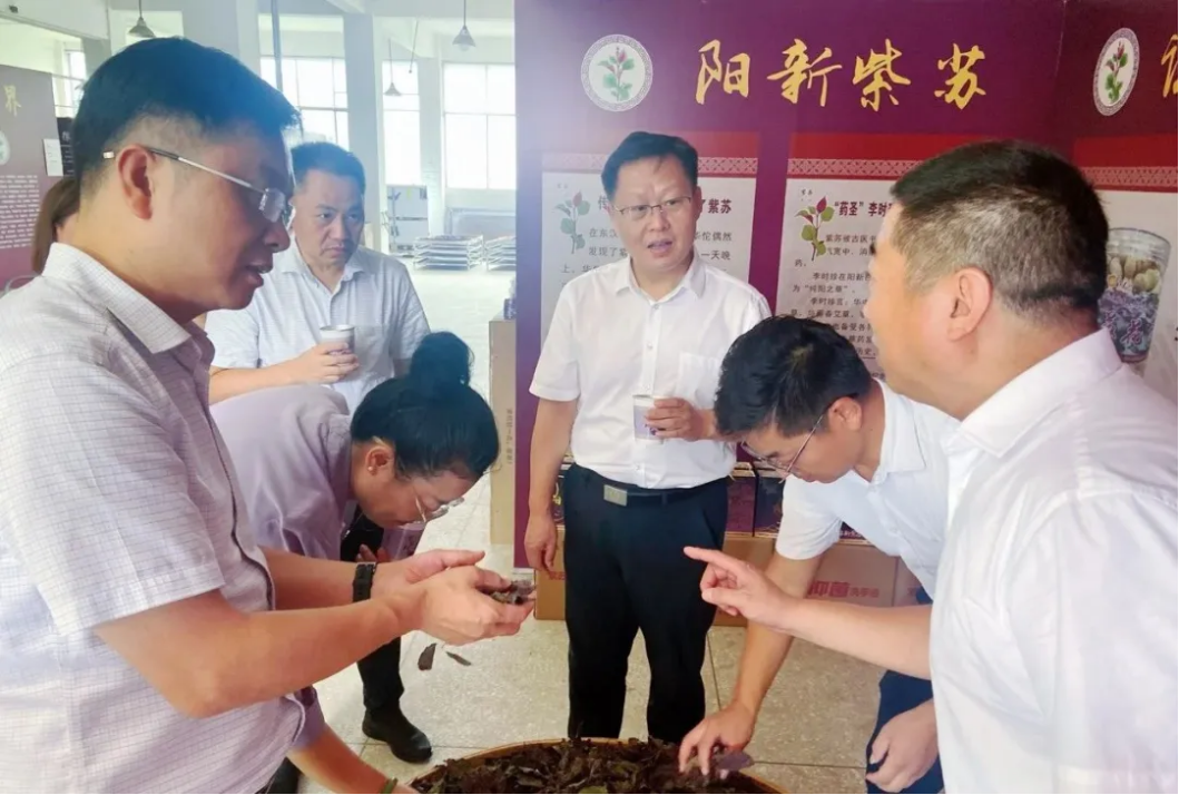 1753320357169309.png 企業微信截圖_17533203555752.png